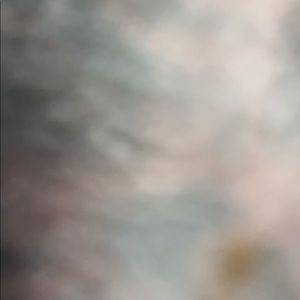 Meet your Posher, Calvin